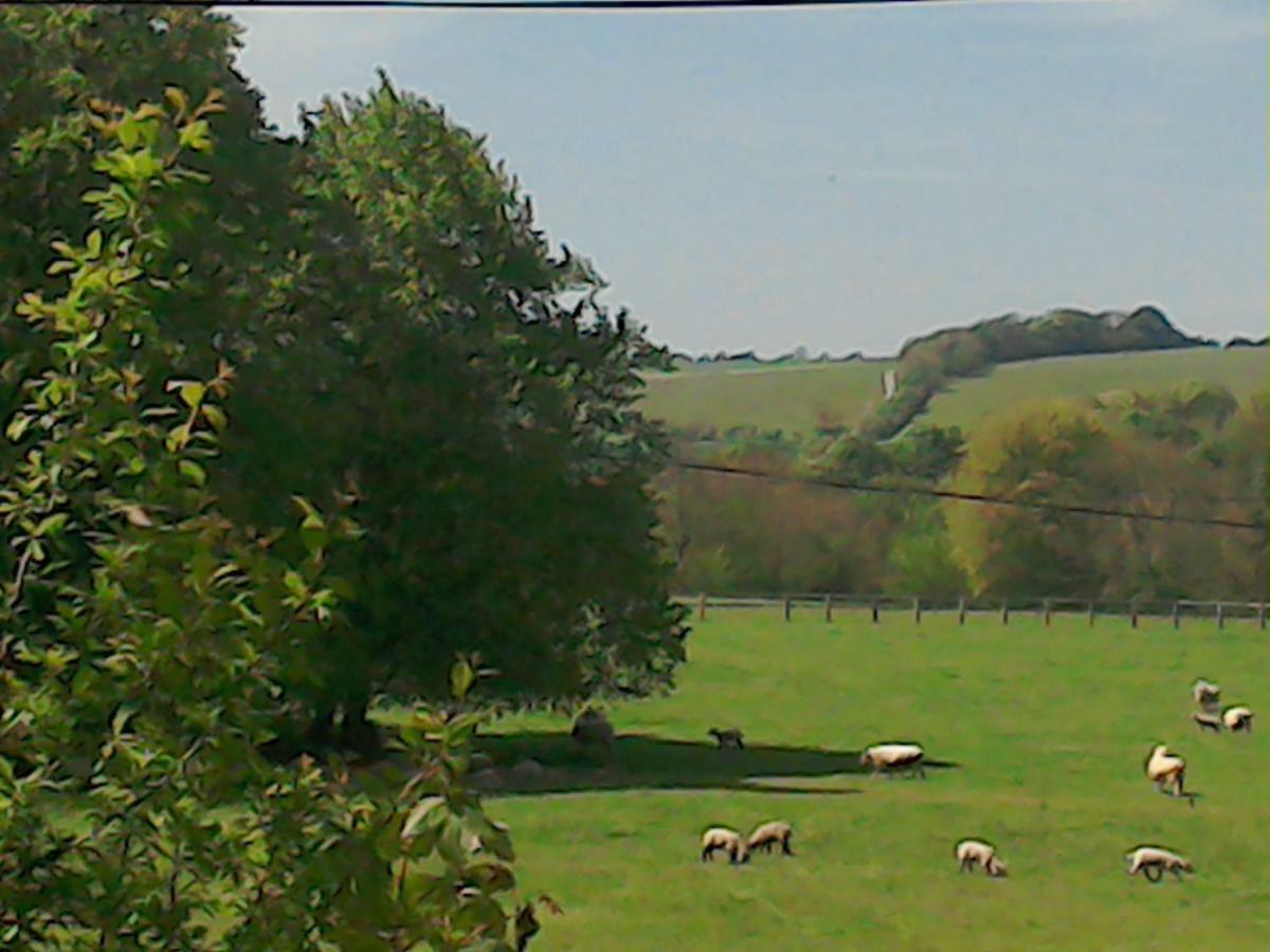 The Crown Inn Alvediston 외부 사진