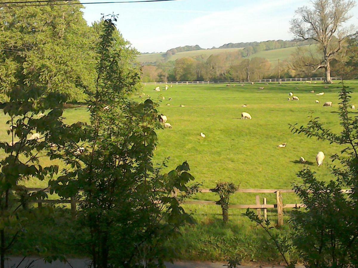 The Crown Inn Alvediston 외부 사진