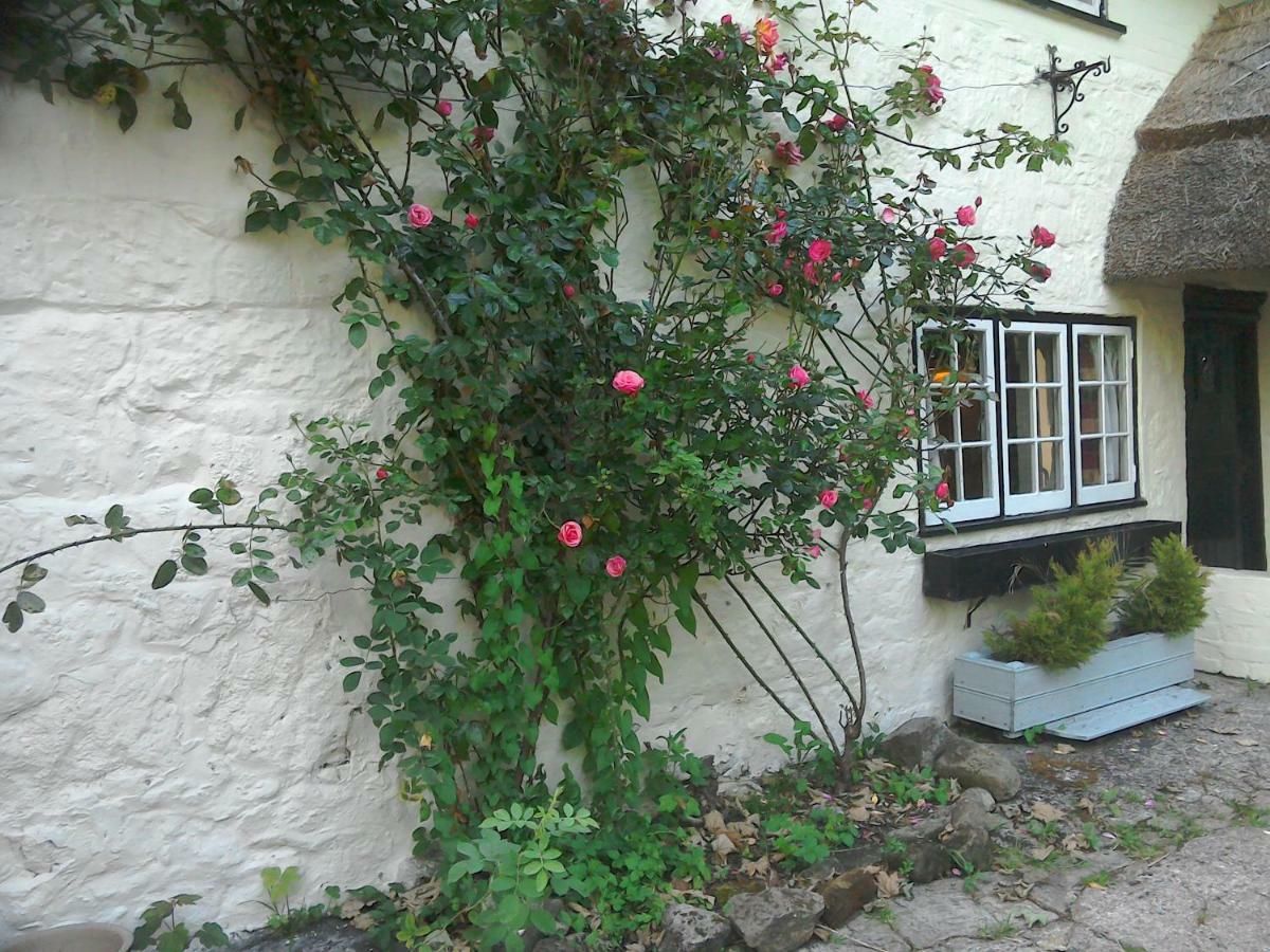 The Crown Inn Alvediston 외부 사진