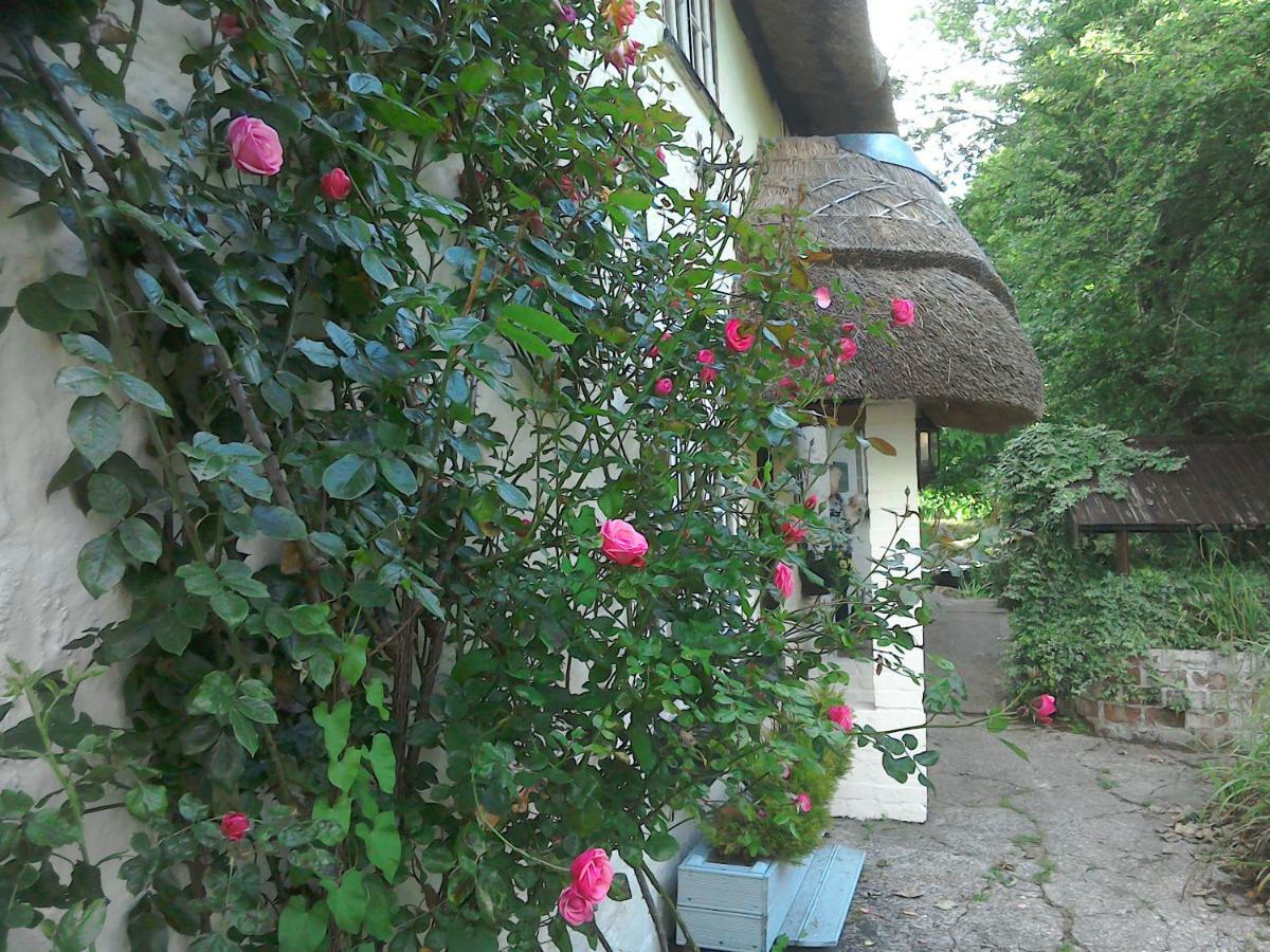The Crown Inn Alvediston 외부 사진