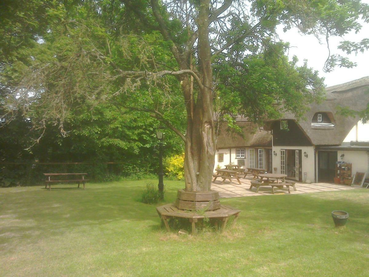 The Crown Inn Alvediston 외부 사진